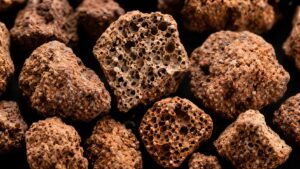 赤玉土を顕微鏡で見た構造