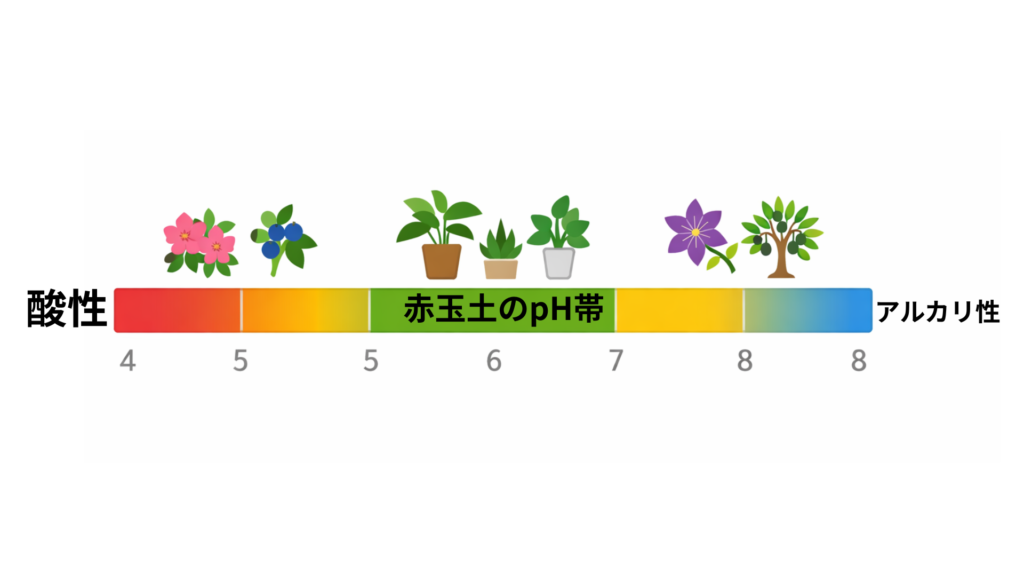 赤玉土のp H図解。適合植物のイラスト入り