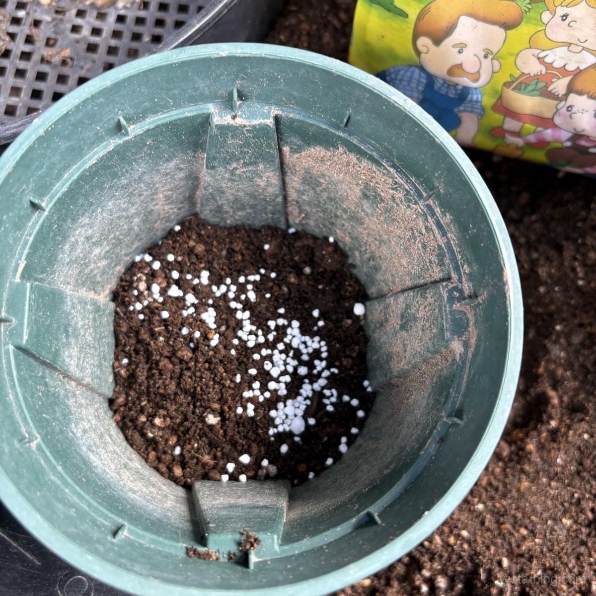 植え替え用の鉢の土に白い粒状の肥料を混ぜ込んでいる様子